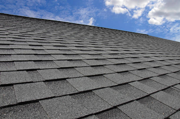 Best Skylight Installation and Repair  in Geva, NE